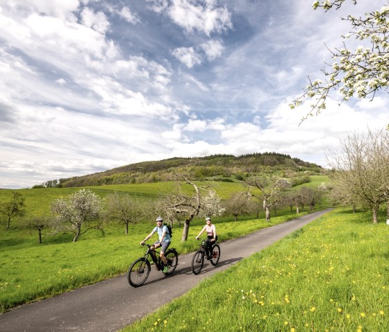 Im Frühjahr führt die Radreise durch blühende Streuobstwiesen im Naturpark Südeifel, © Eifel Tourismus GmbH, Dominik Ketz Im Frühjahr führt die Radreise durch blühende Streuobstwiesen im Naturpark Südeifel, © Eifel Tourismus GmbH, Dominik Ketz