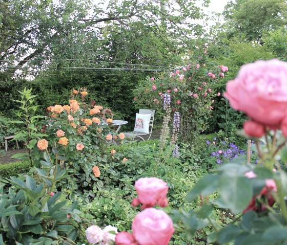 IMG_9347(1) IMG_9347(1)