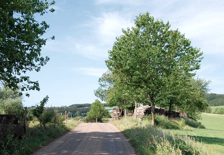 npse_ww_vorschau_92, © C. Kempe npse_ww_vorschau_92, © C. Kempe