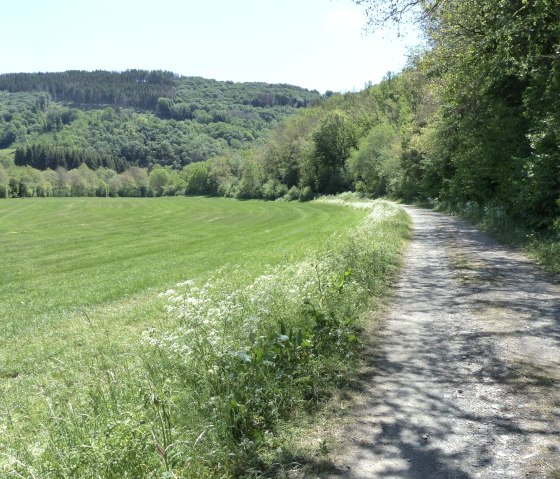 GPS-Tour Weg, © Tourist-Information Islek, Ingrid Wirtzfeld GPS-Tour Weg, © Tourist-Information Islek, Ingrid Wirtzfeld