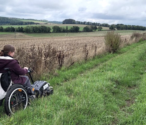 Rollstuhlzuggerät, © Tourist-Information Islek Rollstuhlzuggerät, © Tourist-Information Islek