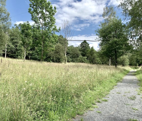 Komfort-Weg Stausee Irrhausen, © Naturpark Südeifel, Ansgar Dondelinger Komfort-Weg Stausee Irrhausen, © Naturpark Südeifel, Ansgar Dondelinger