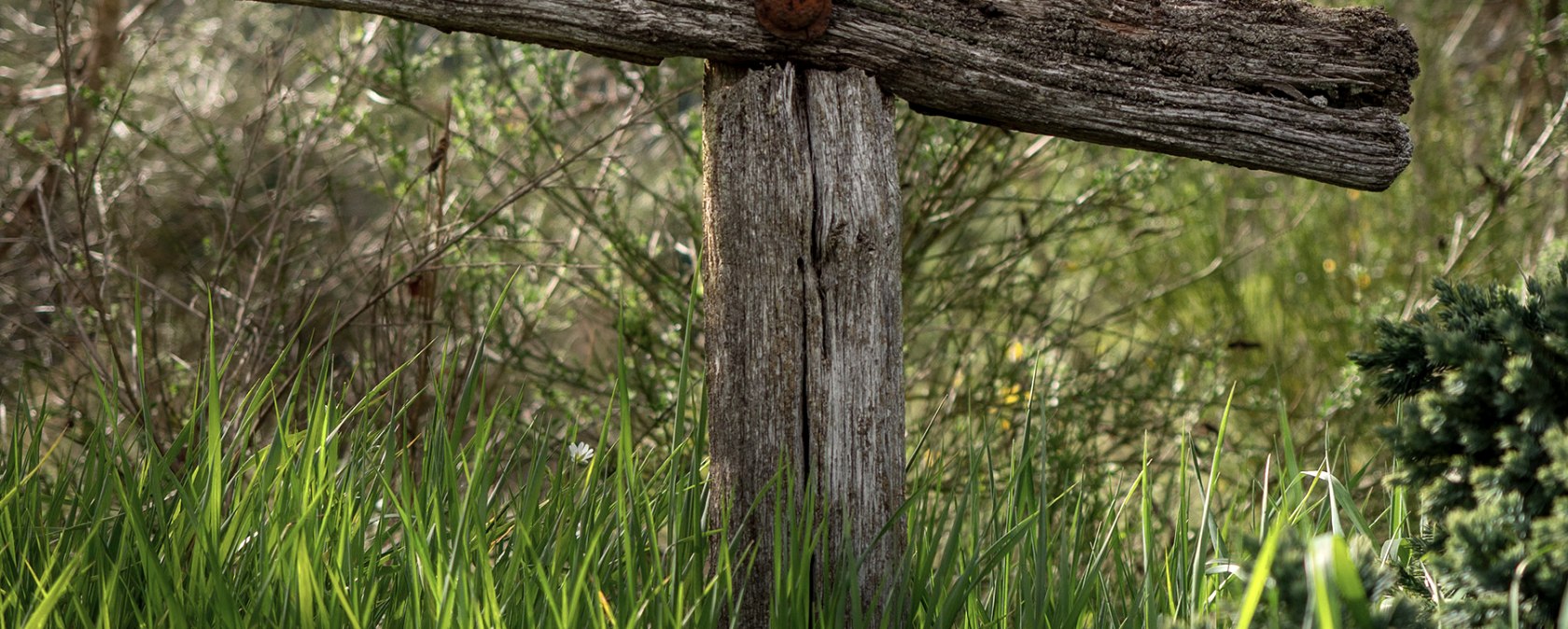 Auf der Ley, © Volker Teuschler Auf der Ley, © Volker Teuschler