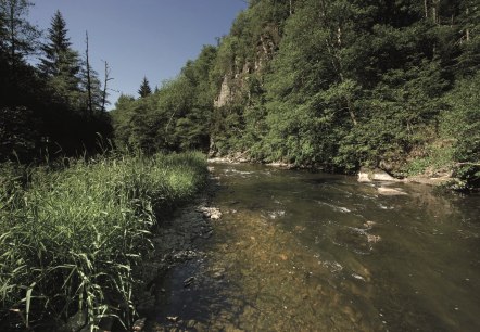 Die Our im Mittleren Ourtal, © Naturpark Südeifel, R. Clement Die Our im Mittleren Ourtal, © Naturpark Südeifel, R. Clement