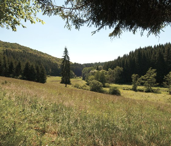 Eifel landscape on the Irsenpfad trail, © Naturpark Südeifel, Joelle Mathias Eifel landscape on the Irsenpfad trail, © Naturpark Südeifel, Joelle Mathias