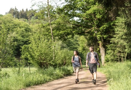 Hiking tour through the forest, © Eifel Tourismus GmbH, D. Ketz Hiking tour through the forest, © Eifel Tourismus GmbH, D. Ketz