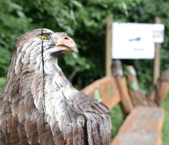 Holzskulptur eines Adlers im Vordergrund, umgeben von grüner Vegetation. Im Hintergrund ist eine Informationstafel zu sehen., © TI Bitburger Land Holzskulptur eines Adlers im Vordergrund, umgeben von grüner Vegetation. Im Hintergrund ist eine Informationstafel zu sehen., © TI Bitburger Land