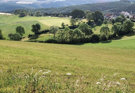 Blick auf Ringhuscheid, © C. Kempe Blick auf Ringhuscheid, © C. Kempe