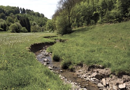 Flusstal am Devon-Pfad, © Naturpark Südeifel, P. Haas Flusstal am Devon-Pfad, © Naturpark Südeifel, P. Haas