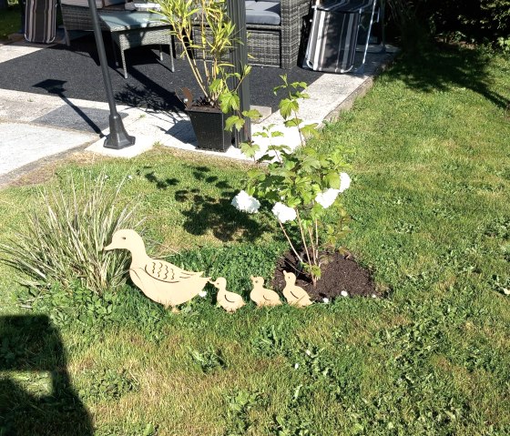Garten Entenfamilie Garten Entenfamilie