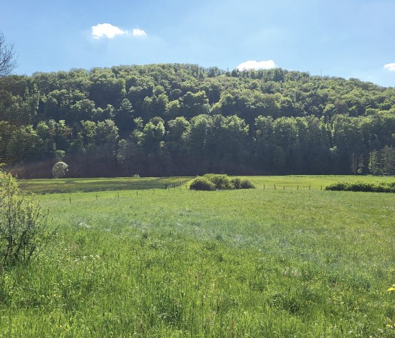 Talauen an der Our, © Tourist-Information Islek Talauen an der Our, © Tourist-Information Islek