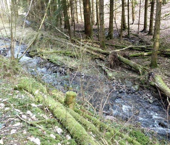 Dierbach, © Tourist-Information Islek, Ingrid Wirtzfeld Dierbach, © Tourist-Information Islek, Ingrid Wirtzfeld