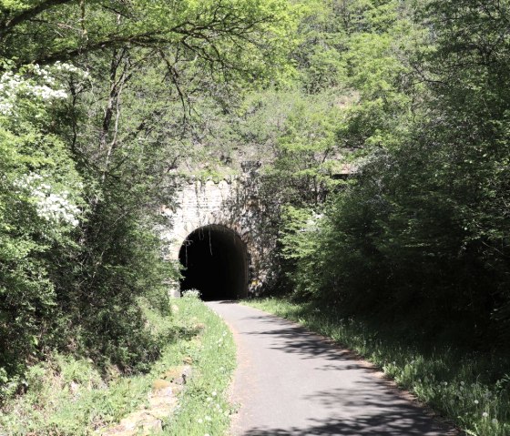 Tunnel Neuerburg, © Enz-Radweg Tunnel Neuerburg, © Enz-Radweg