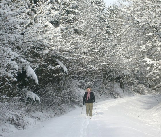im Winter im Winter