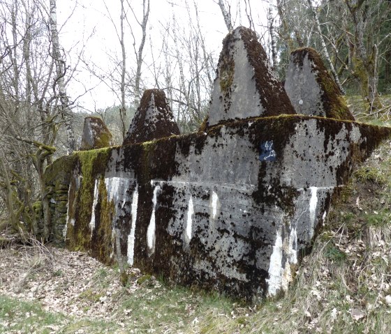 Part of the hump line, © Tourist-Information Islek Part of the hump line, © Tourist-Information Islek