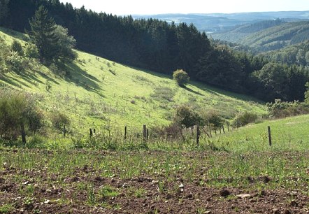Blick ins Mühlbach-Tal, © Volker Teuschler Blick ins Mühlbach-Tal, © Volker Teuschler