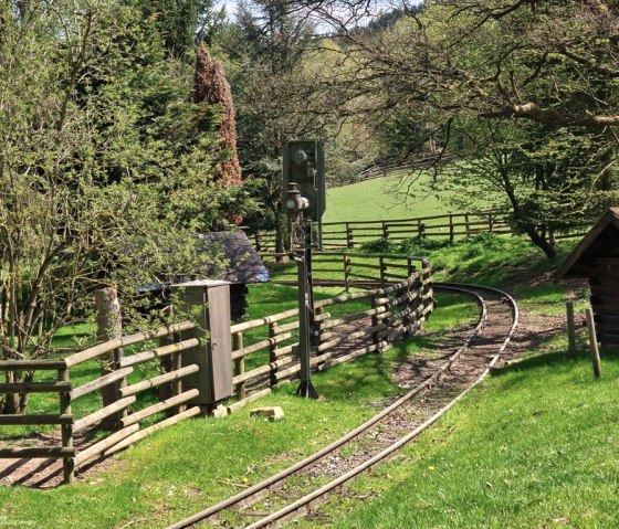 Zoo04, © Eifel-Zoo, Wallpott Zoo04, © Eifel-Zoo, Wallpott