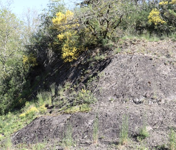 GPS-Tour, Fossiliensuche, © Tourist-Info Islek GPS-Tour, Fossiliensuche, © Tourist-Info Islek