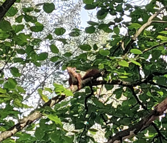 Natur hautnah Natur hautnah