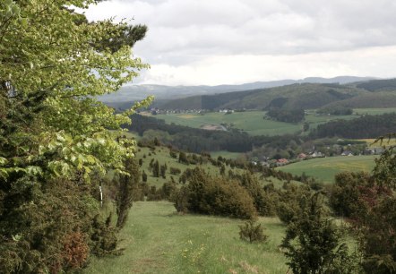 blick-auf-niederehe, © esther-erharter-tourist-information-gerolsteiner-land blick-auf-niederehe, © esther-erharter-tourist-information-gerolsteiner-land