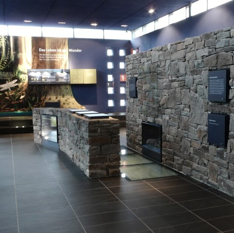 Devonium in Waxweiler, © Devonium Waxweiler Devonium in Waxweiler, © Devonium Waxweiler