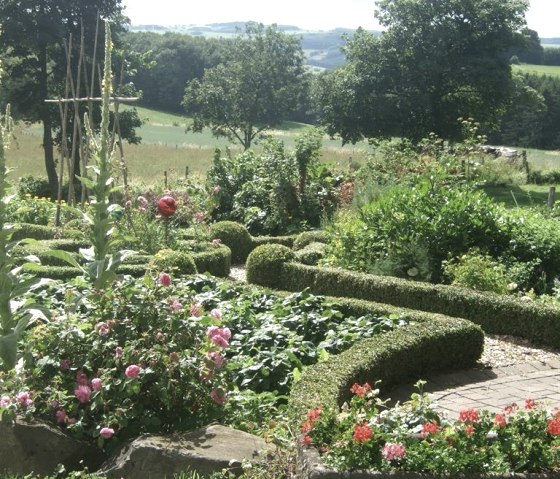 Herbst und Katze 2012 082 Herbst und Katze 2012 082