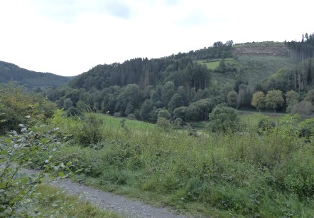 Wanderweg Nr. 8 - Dasburg, © Tourist-Information Islek Wanderweg Nr. 8 - Dasburg, © Tourist-Information Islek