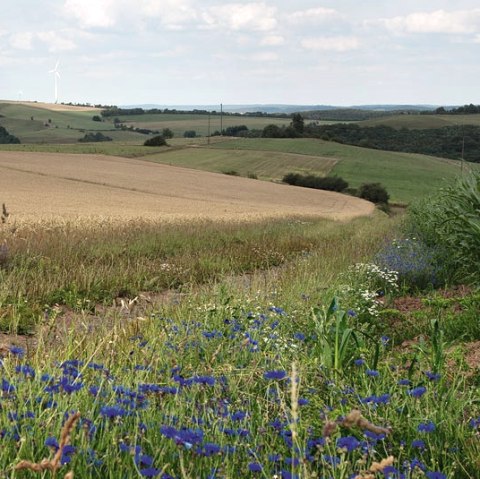 Eifel heights, © Volker Teuschler Eifel heights, © Volker Teuschler