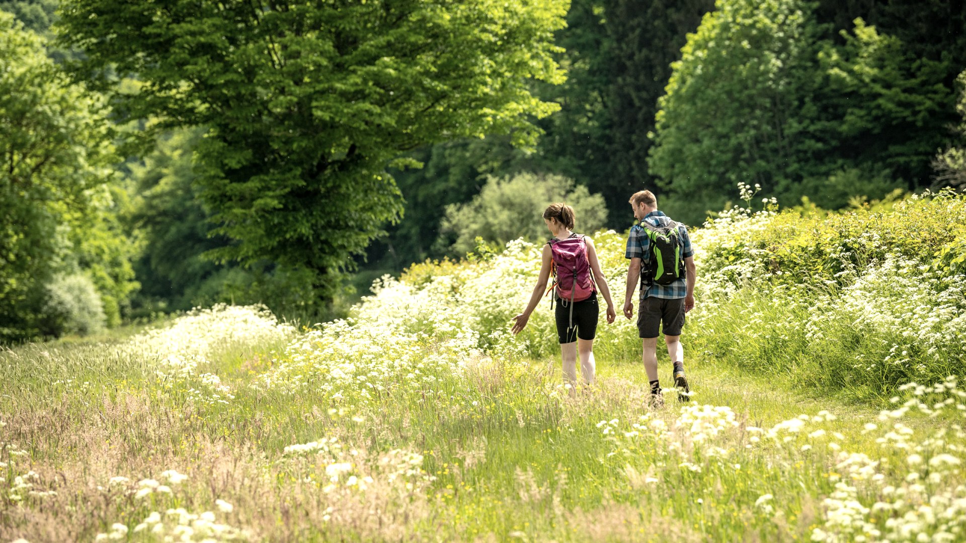 Wanderer, &copy; Eifel Tourismus GmbH, Dominik Ketz