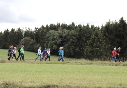 Wanderwoche Südeifel, © Tourist-Information Islek