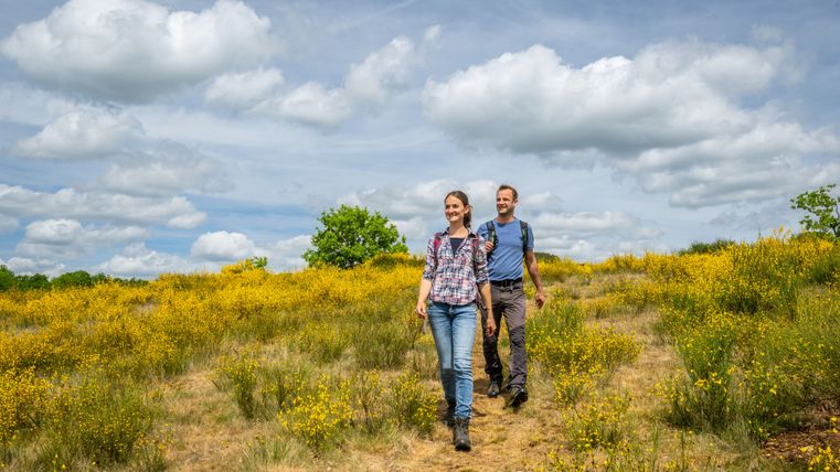 Wanderer auf der Eifelgold-Route im Irsental
