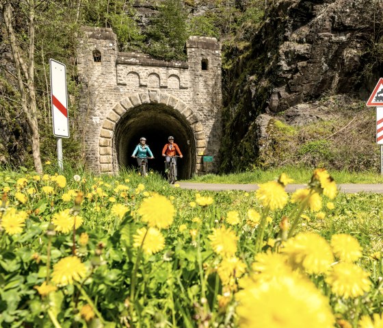 Zwei Radfahrer auf einem Weg vor einem alten Bahntunnel, umgeben von blühendem Löwenzahn und Verkehrsschildern., © Eifel Tourismus GmbH, Dominik Ketz