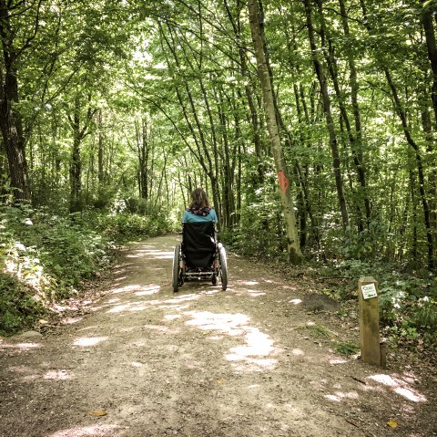 Eine Person im Rollstuhl fährt auf einem sonnigen Waldweg im Königswäldchen. Der Weg ist von grünen Bäumen gesäumt., © TI Bitburger Land