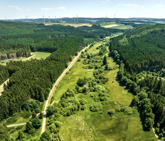 De Eifel-Ardennen fietsroute loopt door het groene landschap van de Eifel, © Eifel Tourismus GmbH, Dominik Ketz