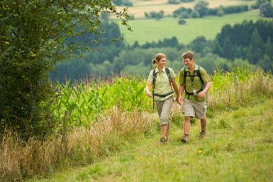 Ein Paar wandert Hand in Hand durch eine grüne Landschaft. Im Hintergrund sind Felder und Wälder zu sehen.