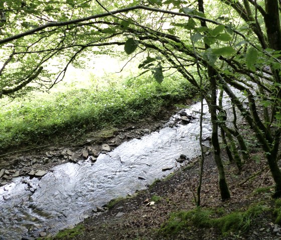 Eschbach, &copy; Tourist-Information Islek