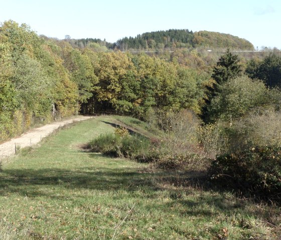 Hiking trail 88 near Eilscheid, © TI Islek