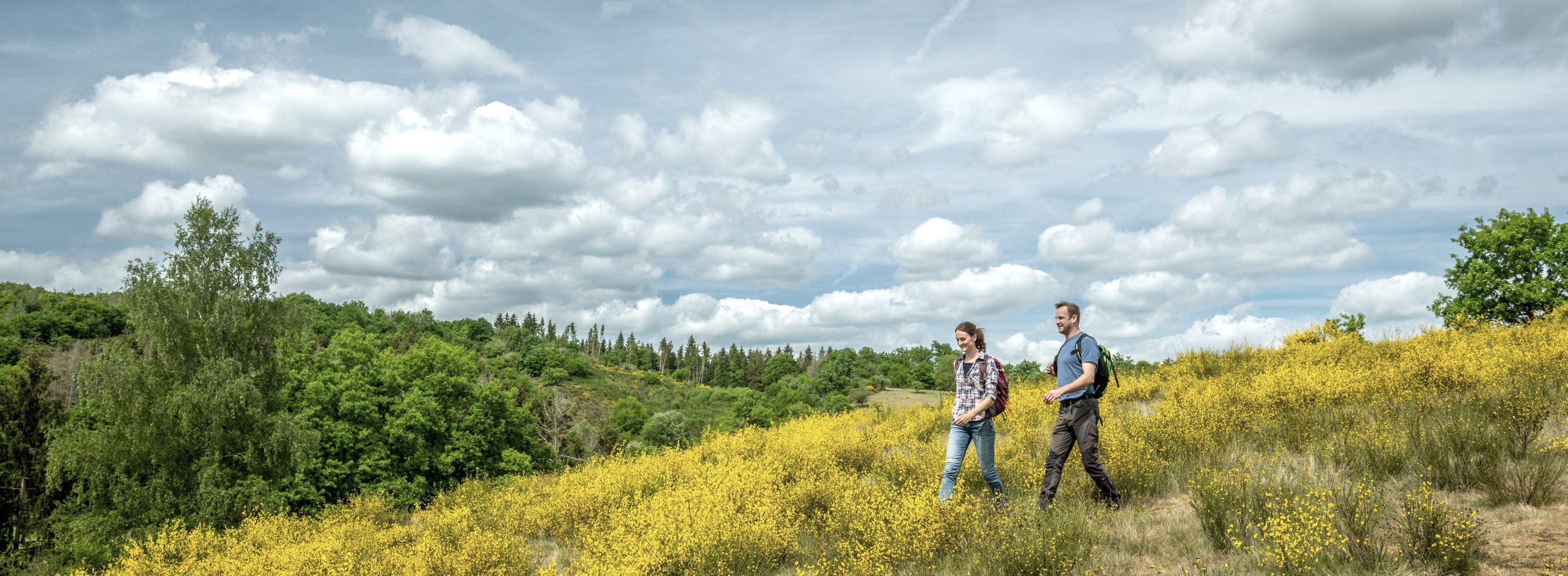 Landschaft Eifelgold Route, © Eifel Tourismus GmbH, Dominik Ketz