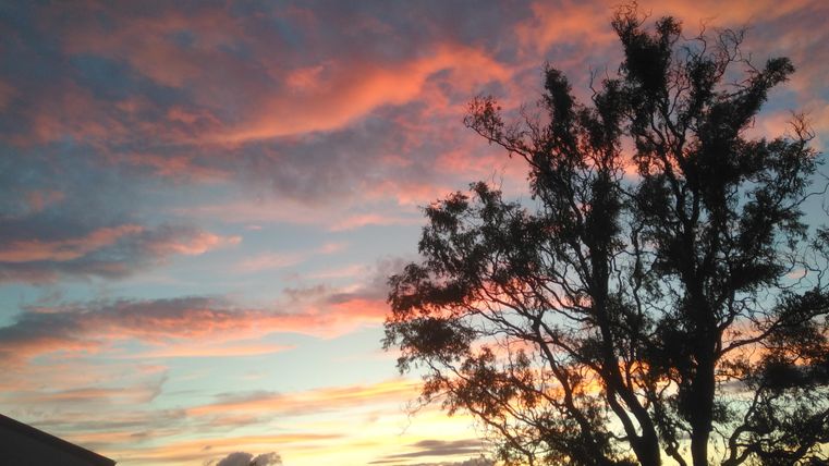 Un coucher de soleil coloré avec des nuages roses et orange. Au premier plan se dresse un arbre en silhouette.