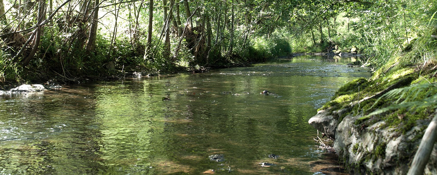 At the Heimbach near Daleiden