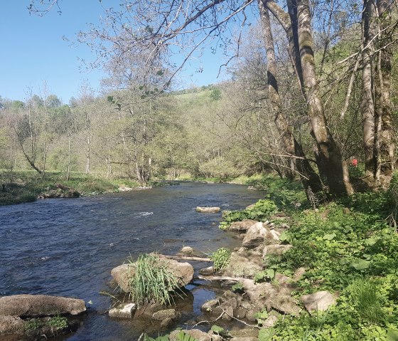 Kyll fietspad Speicherer Mühle, © Uschi Hallet- Tourist-Information Bitburger Land