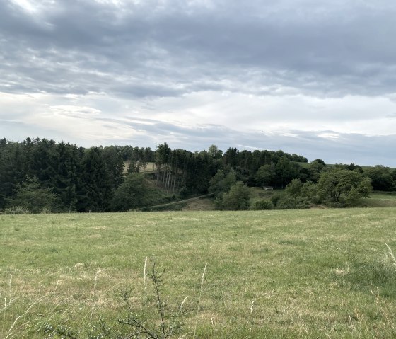 IMG_7895, &copy; Ingo Kleis