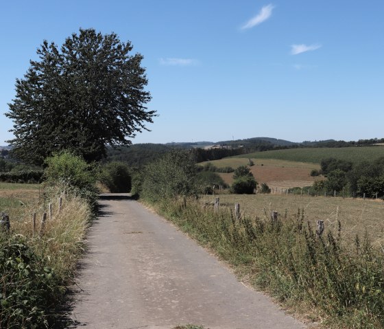 Wandelroute nr. 14 in het dal bij Jucken, © Tourist-Info Islek