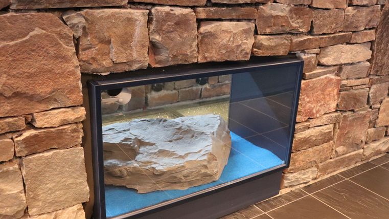 Ein moderner Glasaquarium mit einem großen, flachen Stein und blauem Sandboden. Es ist in eine Steinmauer eingelassen und hebt sich stilvoll hervor.