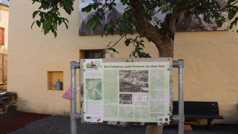 Ein Informationsschild vor einer Wand mit einem Baum daneben. Das Schild enthält Text und Bilder zu einem bestimmten Thema.