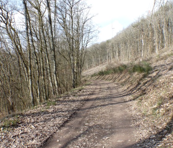 Idyllischer Waldweg, &copy; Tourist-Information Islek