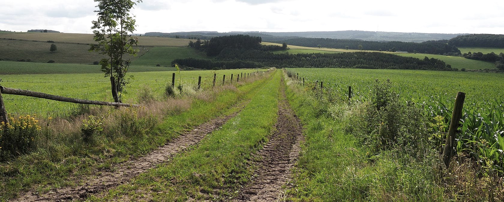 Eifel hoogten, © Volker Teuschler