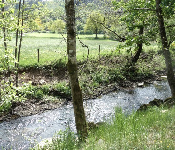 Irsenbach, &copy; Tourist-Information Islek