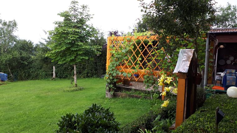 Ein grüner Garten mit viel Rasen und einem kleinen Baum. Im Hintergrund steht ein dekoratives, gelbes Pflanzengitter.