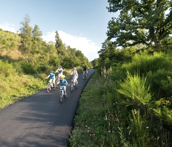 Gezin met kinderen fietsen op een geasfalteerd fietspad door een groen, zonnig landschap. Ideaal voor ontspannen fietstochten., © vennbahn.eu